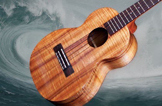 Ukulele Pickup